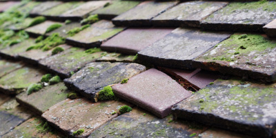 Drayton St Leonard roof repair costs